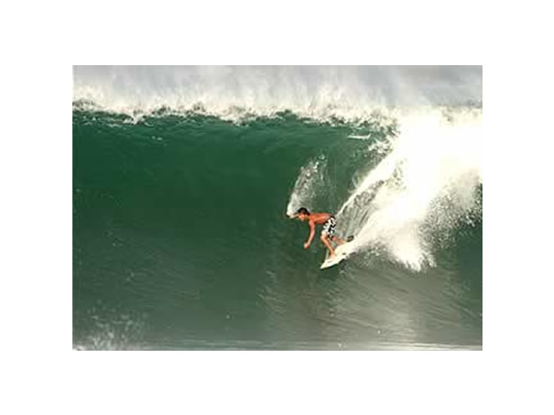 surfeando